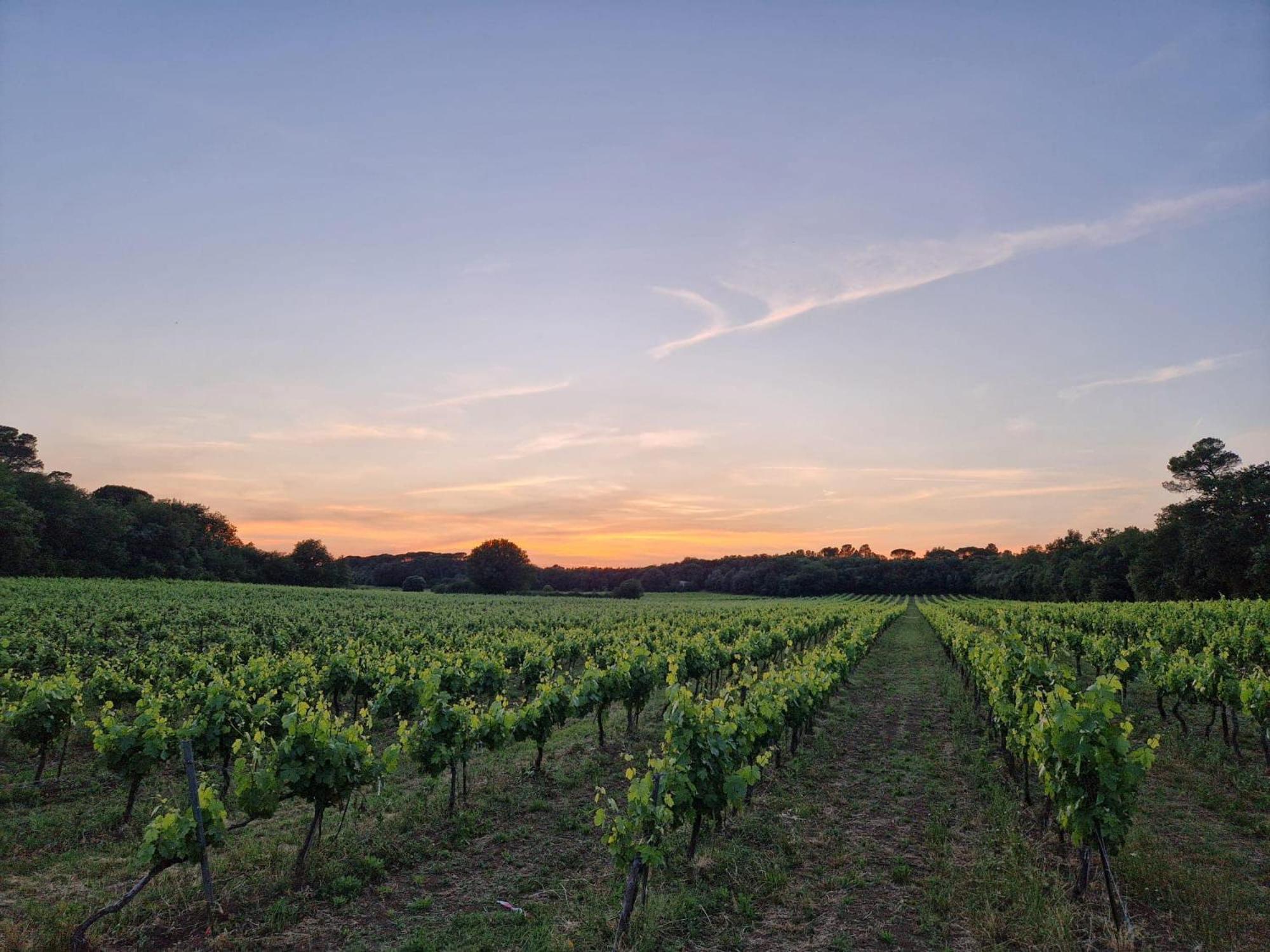 툴브스 Bastide Saint Supin 아파트 외부 사진